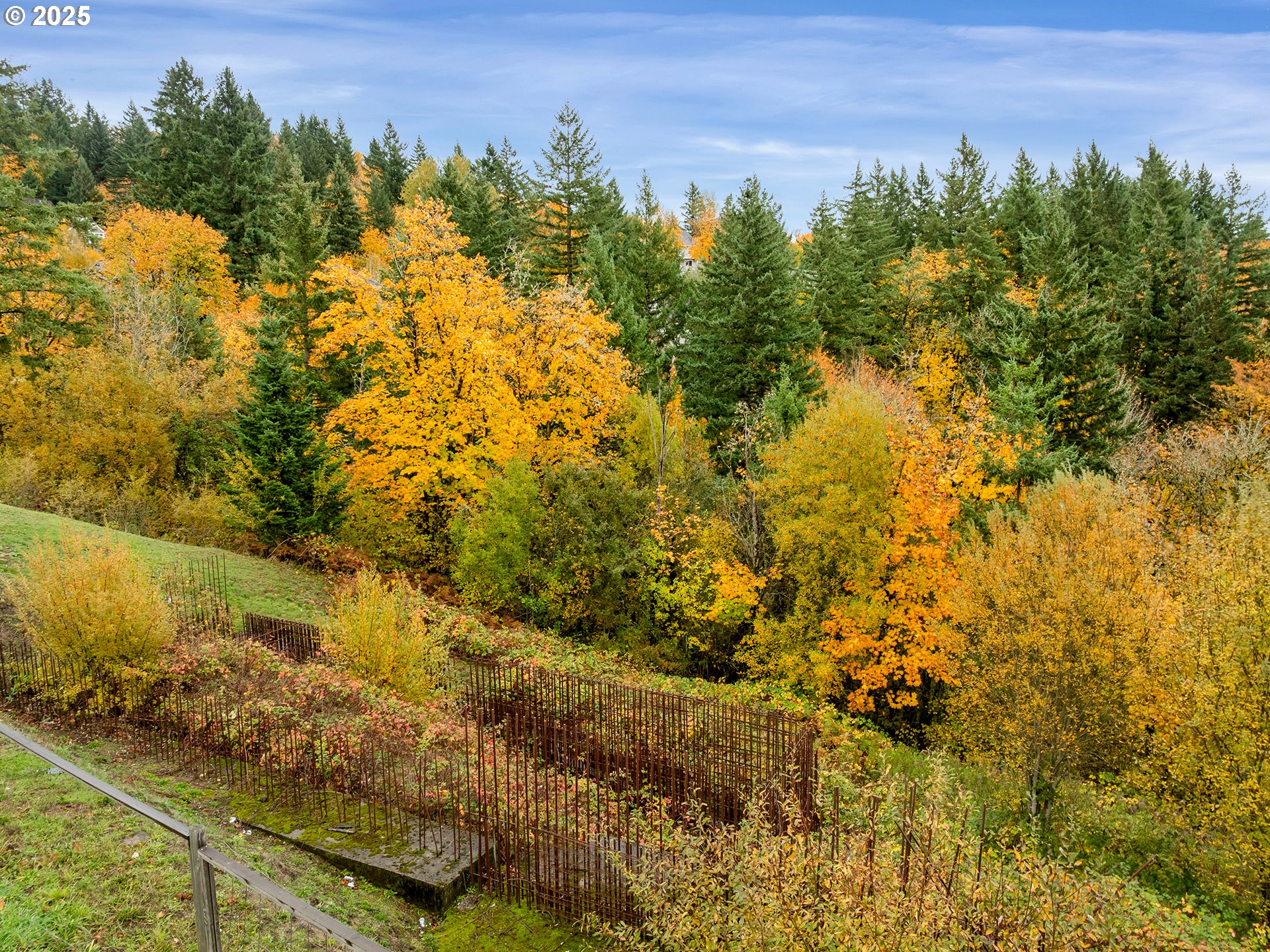 3030 Northwest Montara Loop Portland, OR 97229 - Photo 10 of 24 a view of lake with green space