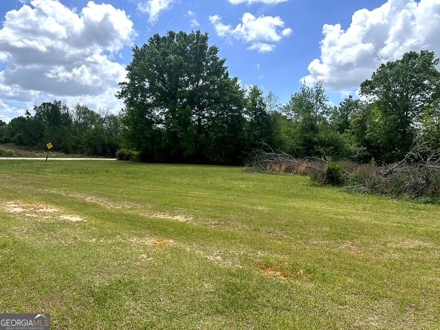 2160 Donald Cobb Road Bartow, GA 30413 - Photo 14 of 15