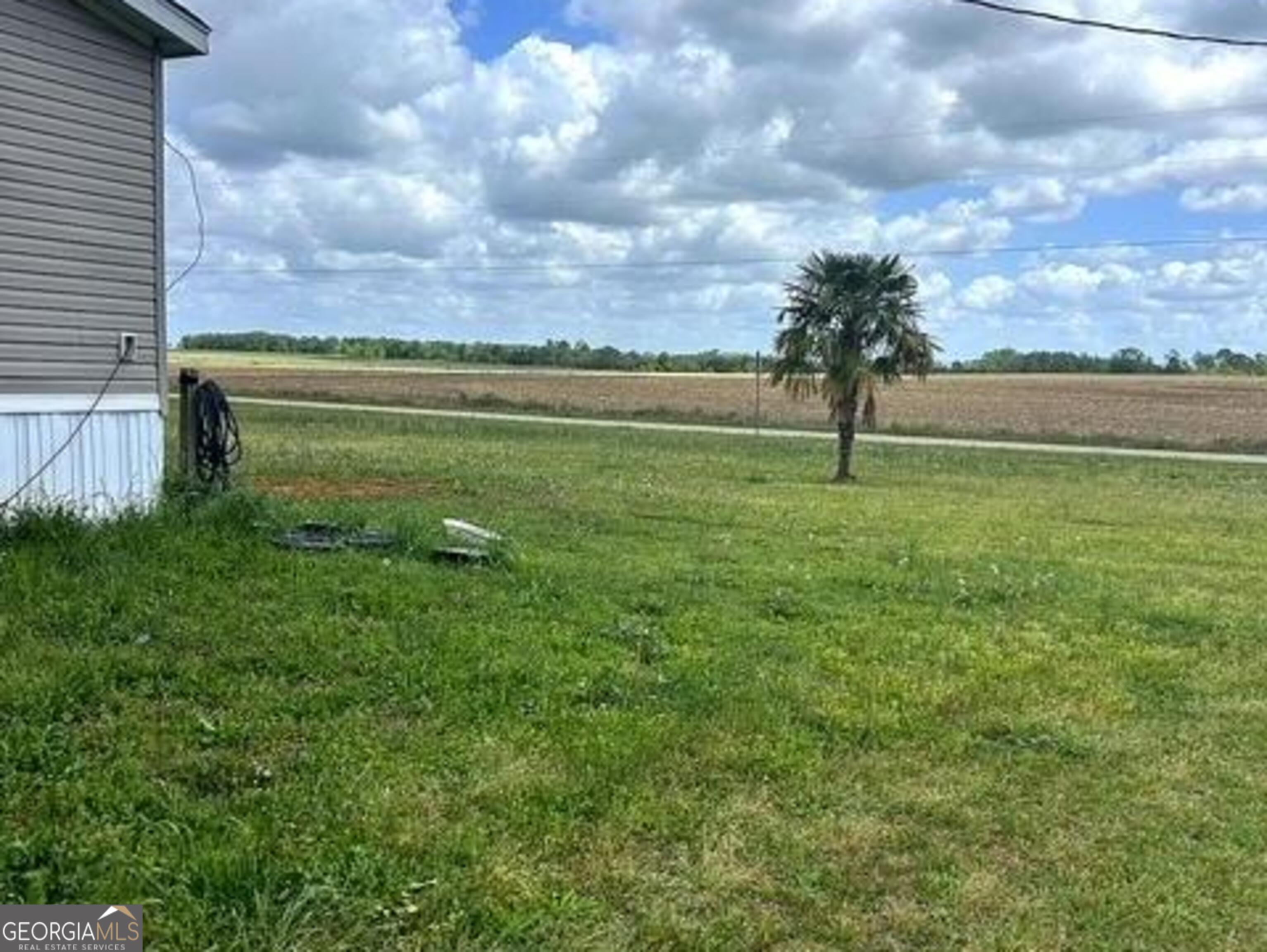 2160 Donald Cobb Road Bartow, GA 30413 - Photo 15 of 15