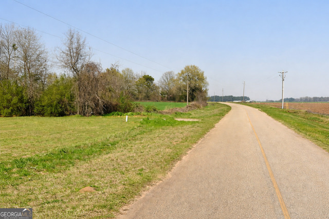 2160 Donald Cobb Road Bartow, GA 30413 - Photo 3 of 15