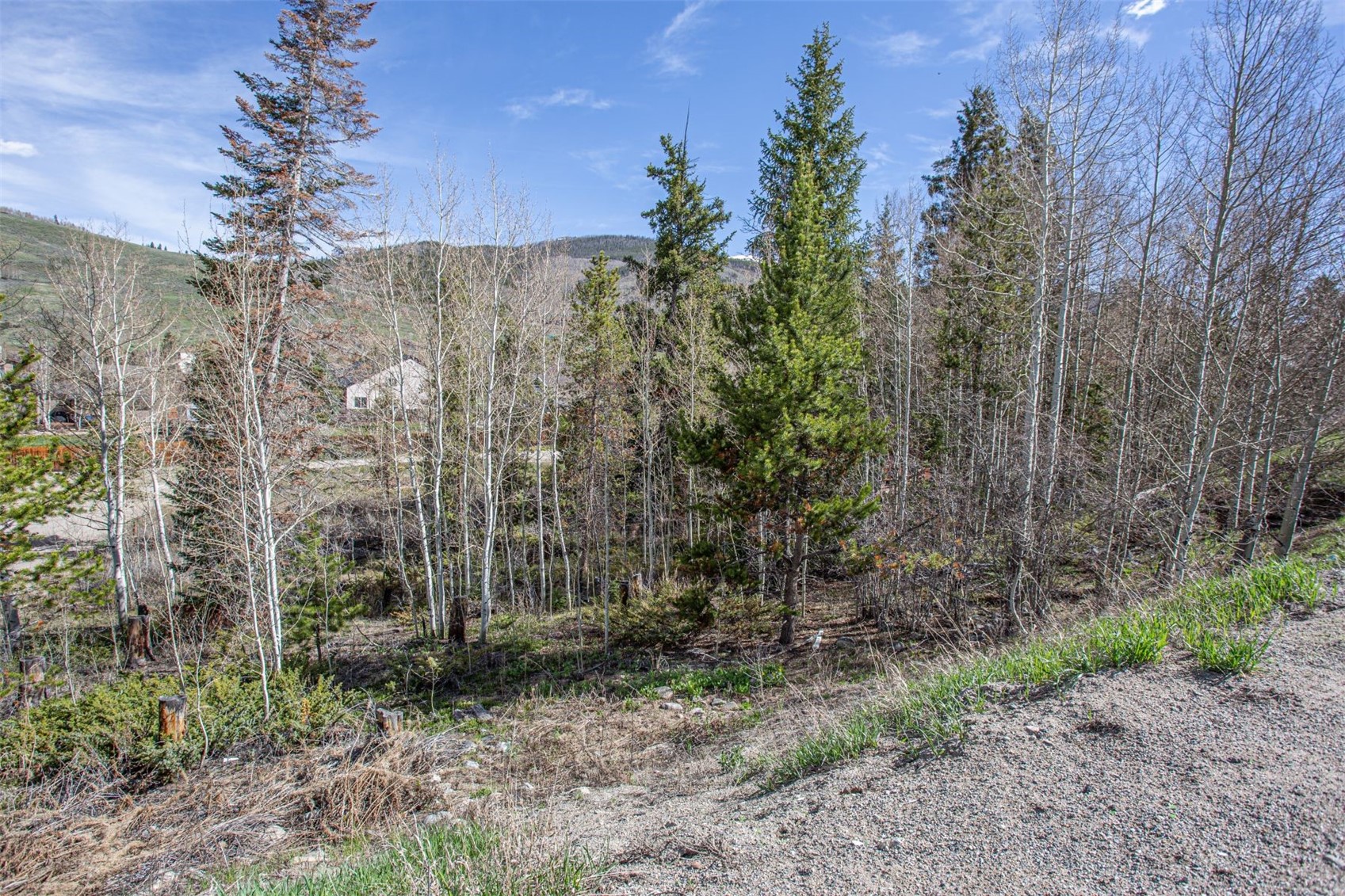 577 Deer Path Road Dillon, CO 80435 - Photo 7 of 27 Gallery Image 7