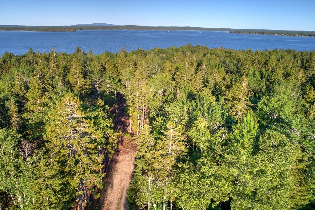 246 Estates Road Steuben, ME 04680 - Photo 12 of 30 View from above the trees looking...