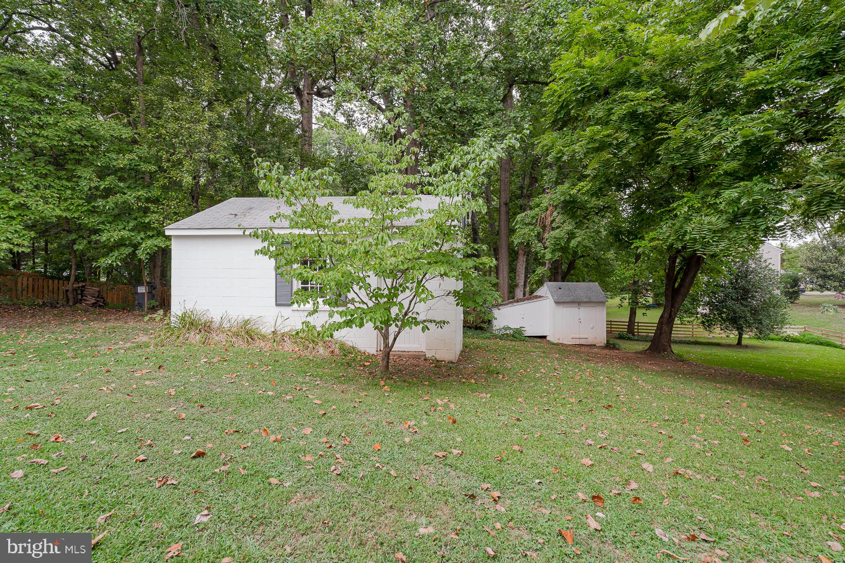 242 Shelton Shop Road Stafford, VA 22554 - Photo 47 of 53 view of back yard
