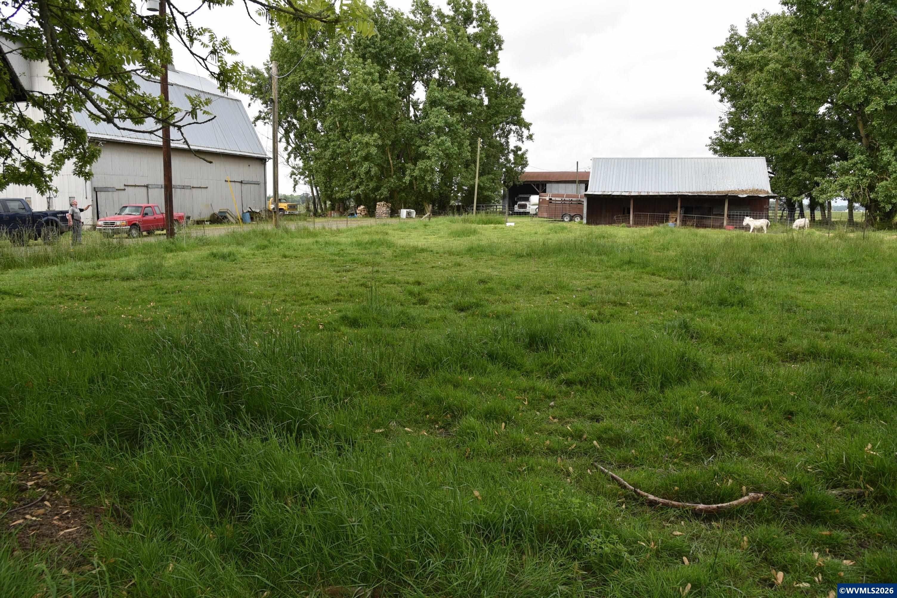 25258 Rowland Road Harrisburg, OR 97446 - Photo 14 of 24 a view of a house with a backyard