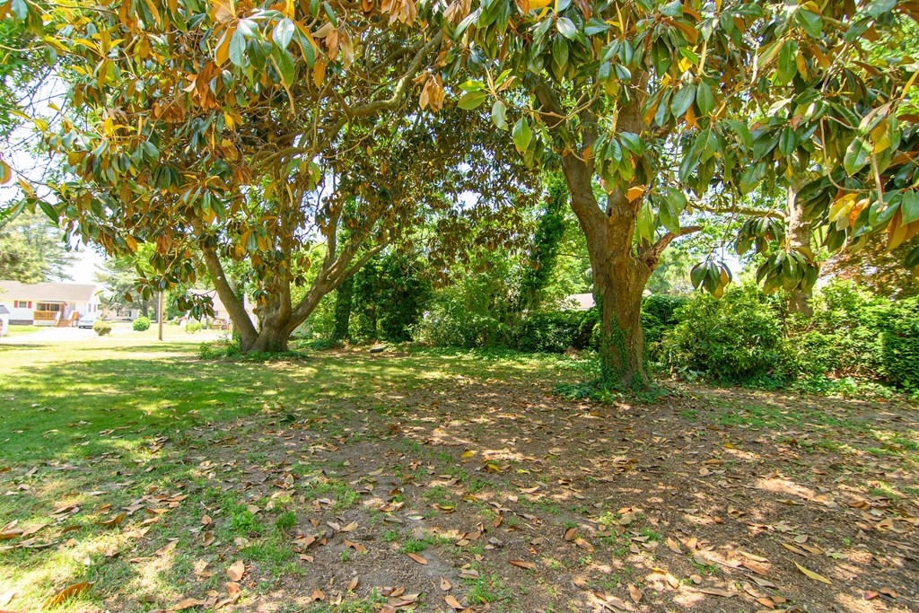24432 Maxwell Street Parksley, VA 23421 - Photo 35 of 39 a backyard of a house with lots of trees