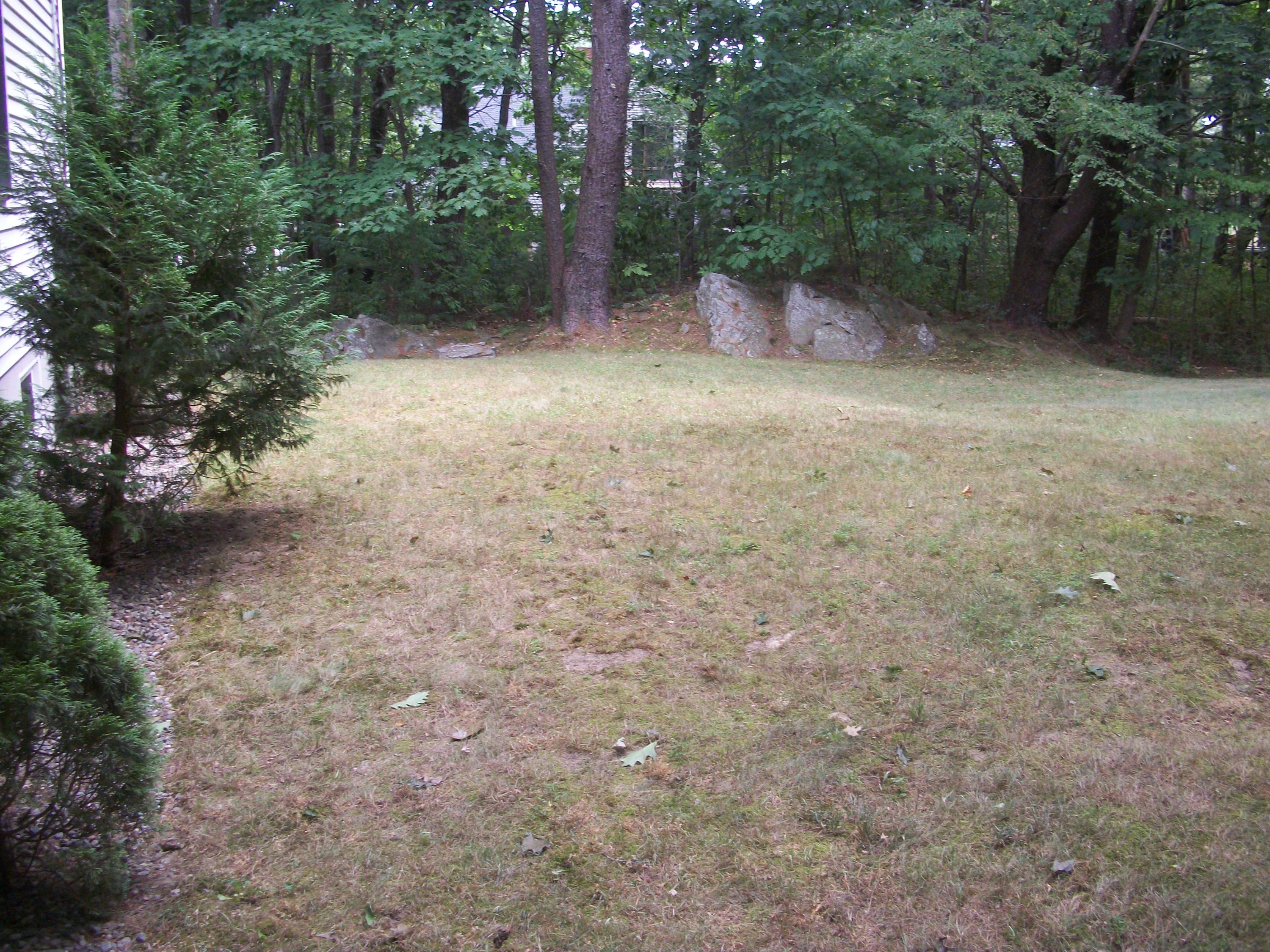 522 Pool Street Biddeford, ME 04005 - Photo 37 of 48 Side yard