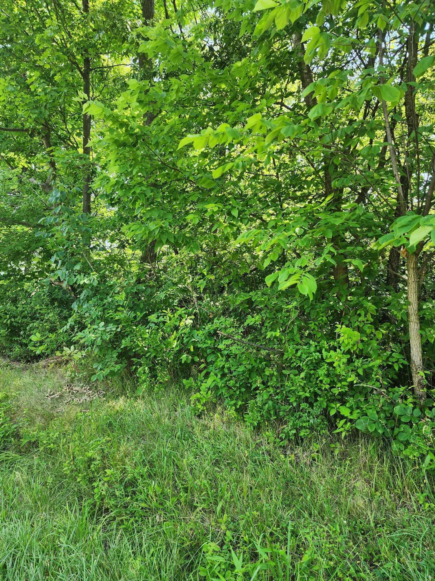 0 Grove Road Northeast Thornville, OH 43076 - Photo 27 of 29 Grove land2