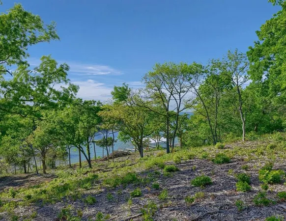 $2,825,000 | 5.63-acres Thompson Heights Drive, Denison, TX 75020