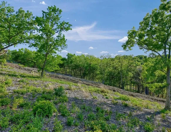 $2,825,000 | 5.63-acres Thompson Heights Drive, Denison, TX 75020