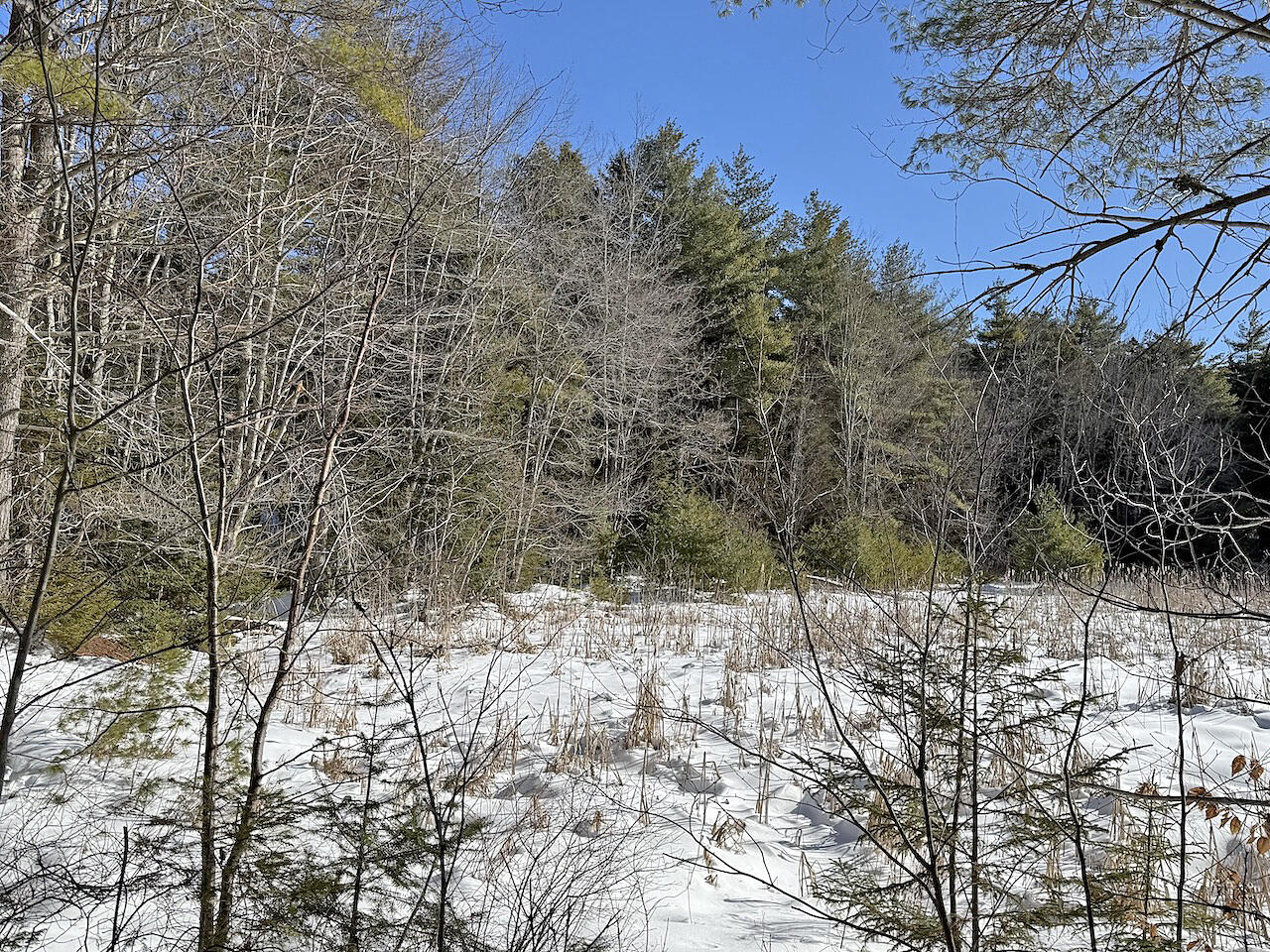 0 Shadis Road Edgecomb, ME 04556 - Photo 4 of 9 Marsh view