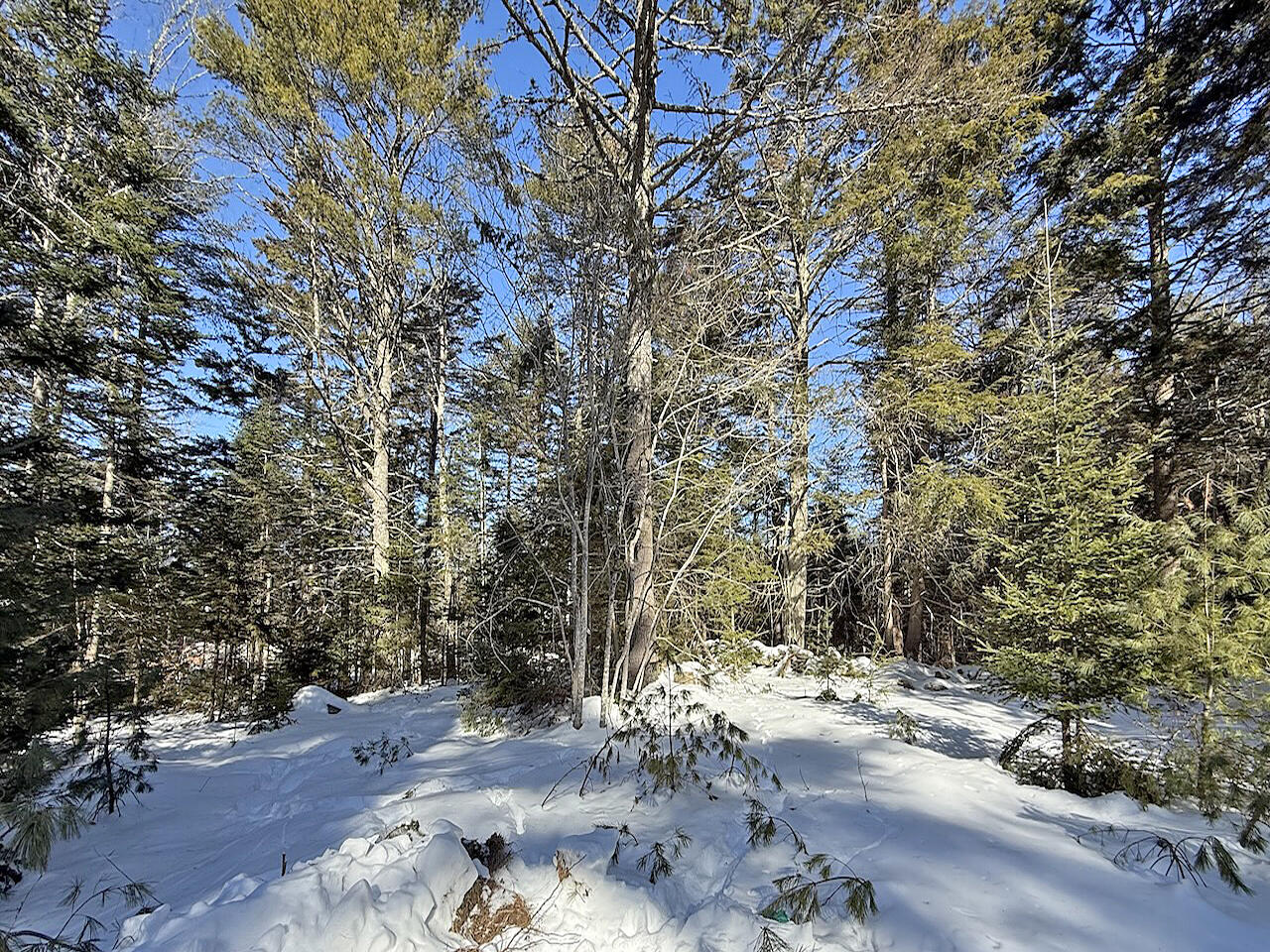 0 Shadis Road Edgecomb, ME 04556 - Photo 6 of 9 Site 2
