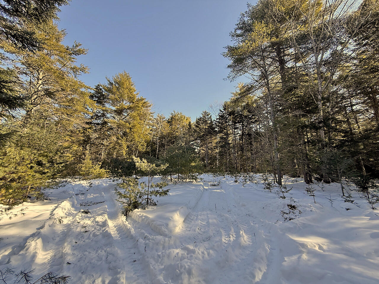 0 Shadis Road Edgecomb, ME 04556 - Photo 7 of 9 Site 3