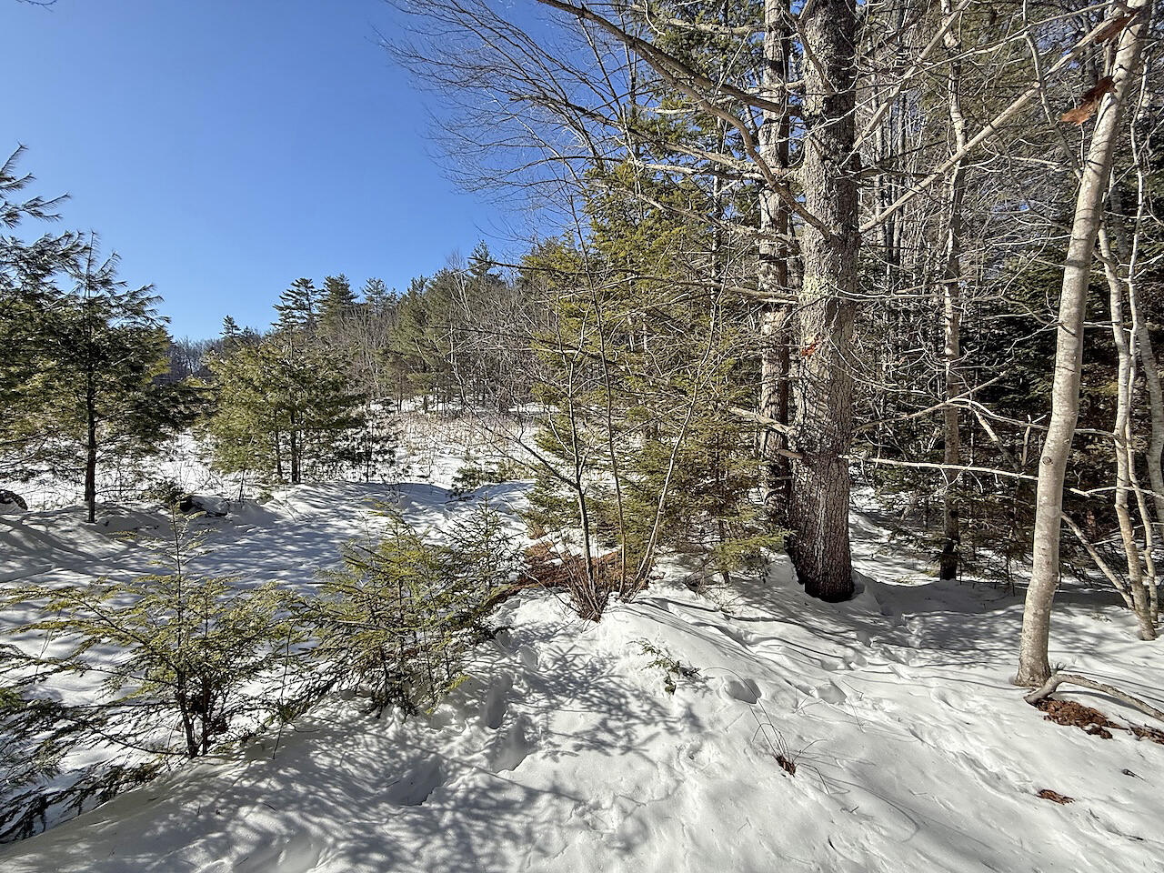0 Shadis Road Edgecomb, ME 04556 - Photo 8 of 9 Site overlooking Marsh 2