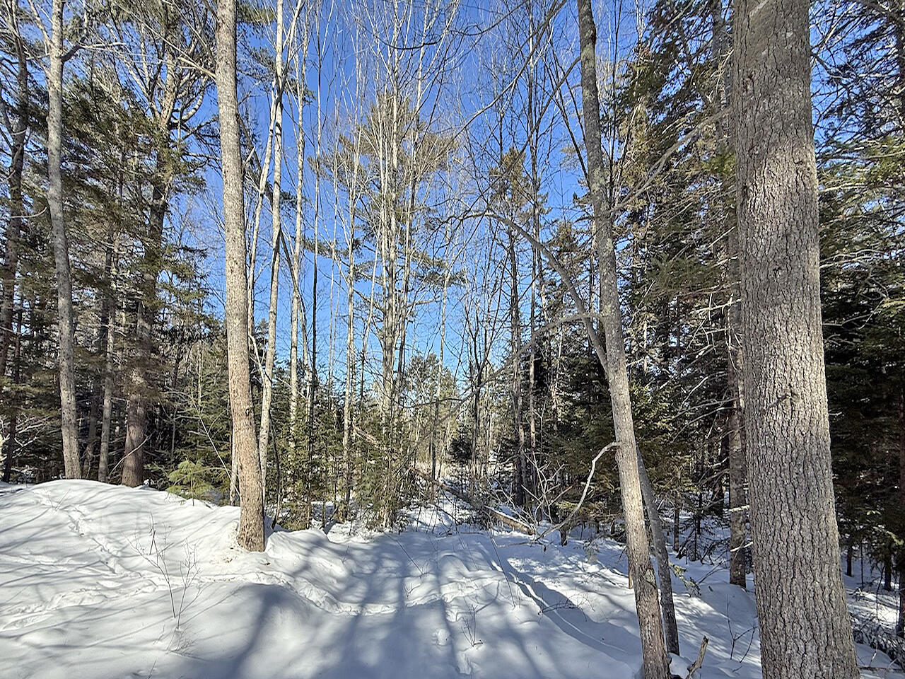 0 Shadis Road Edgecomb, ME 04556 - Photo 9 of 9 Site overlooking Marsh