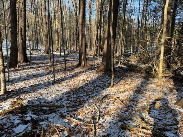 0 Mathews Road South Deerfield, MA 01373 - Photo 13 of 23 Gallery Image 13