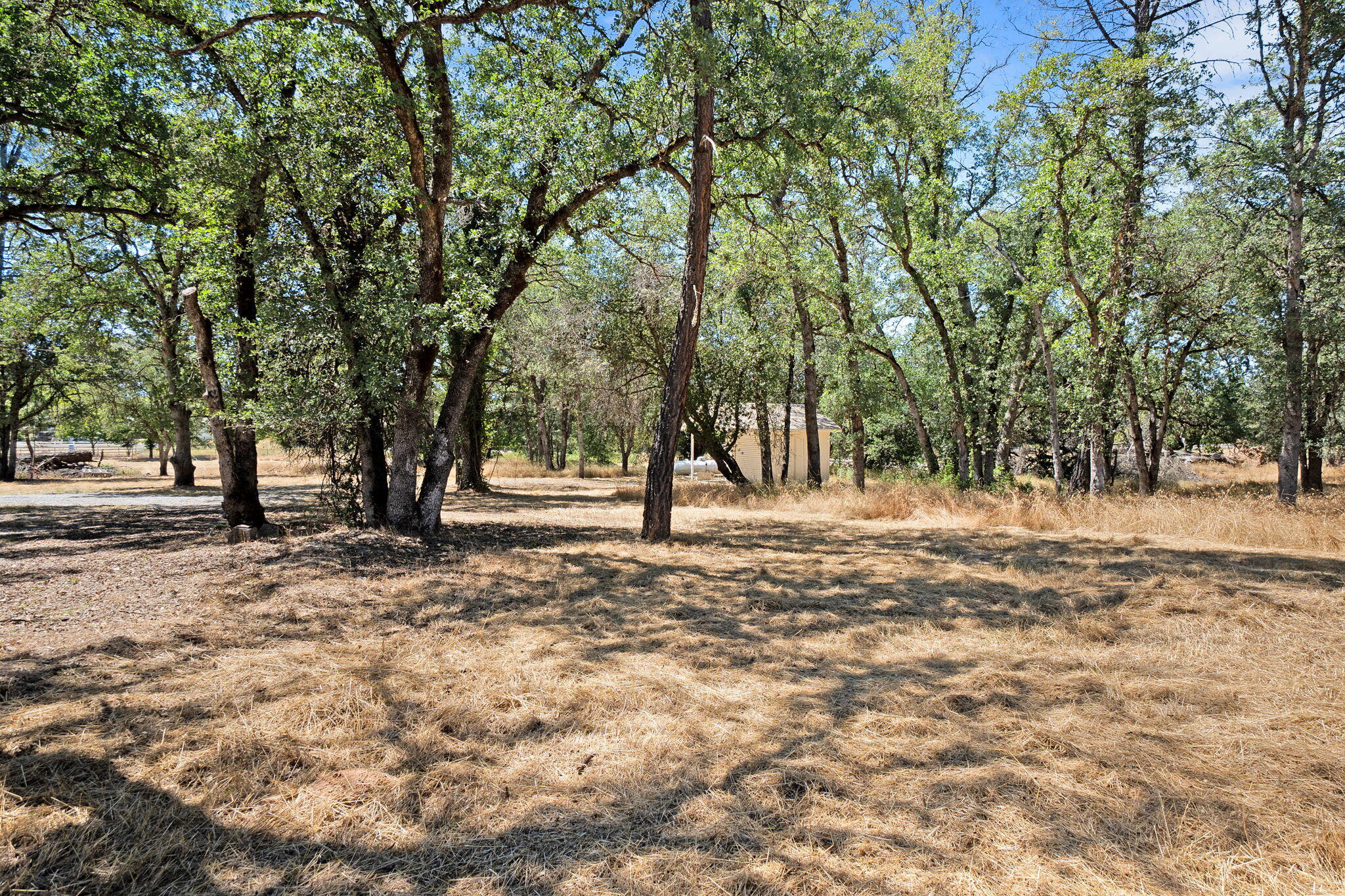 10753 French Creek Road Palo Cedro, CA 96073 - Photo 37 of 60 Land