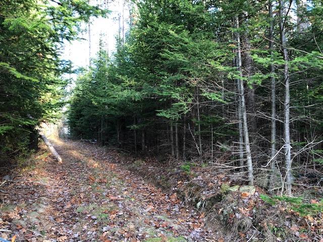 492 Front Ridge Road Penobscot, ME 04476 - Photo 1 of 13 Entrance to property