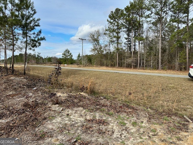 1800 Rock Springs Road Dublin, GA 31021 - Photo 6 of 9 a view of a field with trees in the background