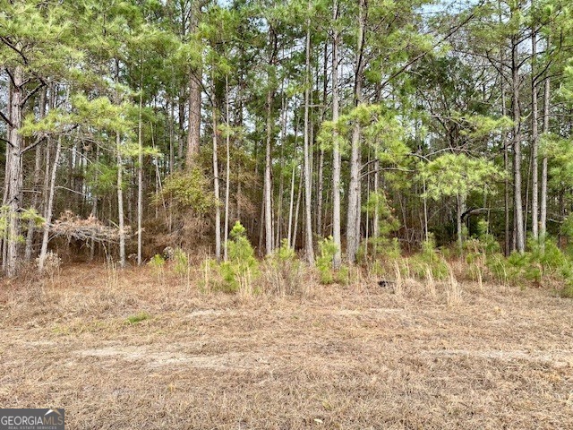 1800 Rock Springs Road Dublin, GA 31021 - Photo 7 of 9 a backyard of a house with lots of trees