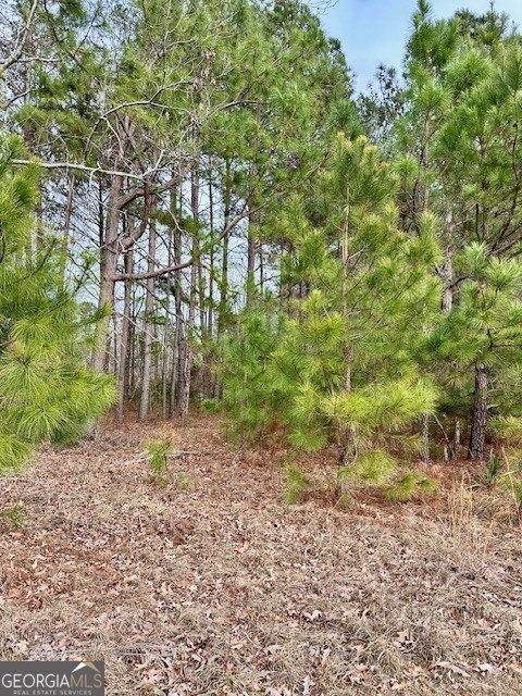 1800 Rock Springs Road Dublin, GA 31021 - Photo 8 of 9 a view of a yard with plants and trees
