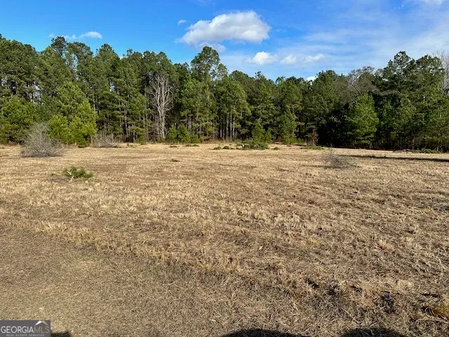 a view of mountain view with lots of trees