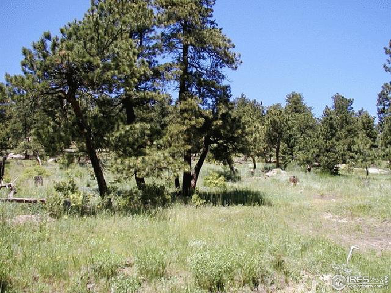 32027 Sylvan Road Golden, CO 80403 - Photo 4 of 12 Back yard view