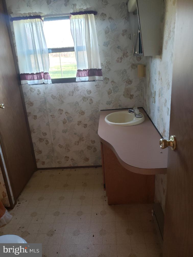 474 Hart Road Oxford, PA 19363 - Photo 13 of 14 Bathroom Vanity