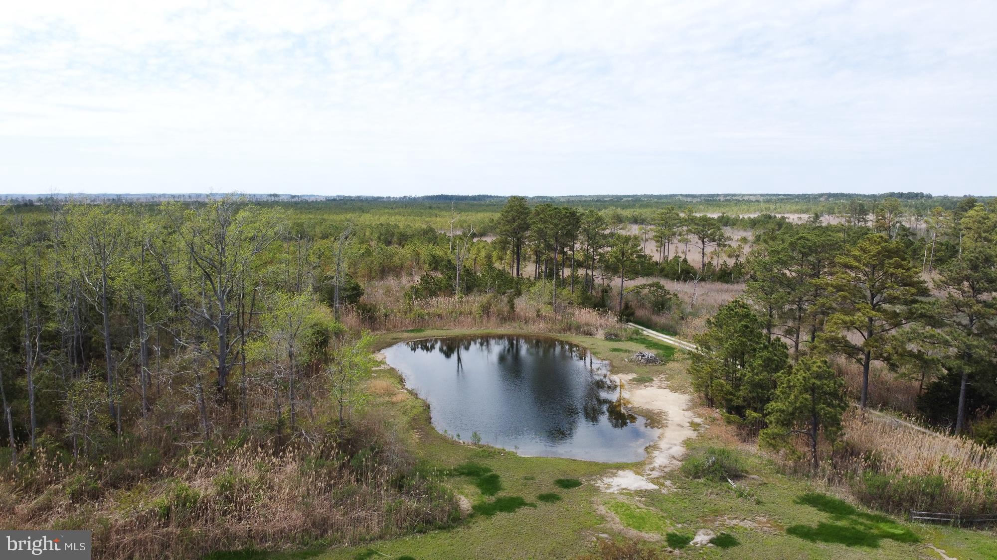 10191 Crab Island Road Princess Anne, MD 21853 - Photo 6 of 30 deep duck pond on the 17.43 acres