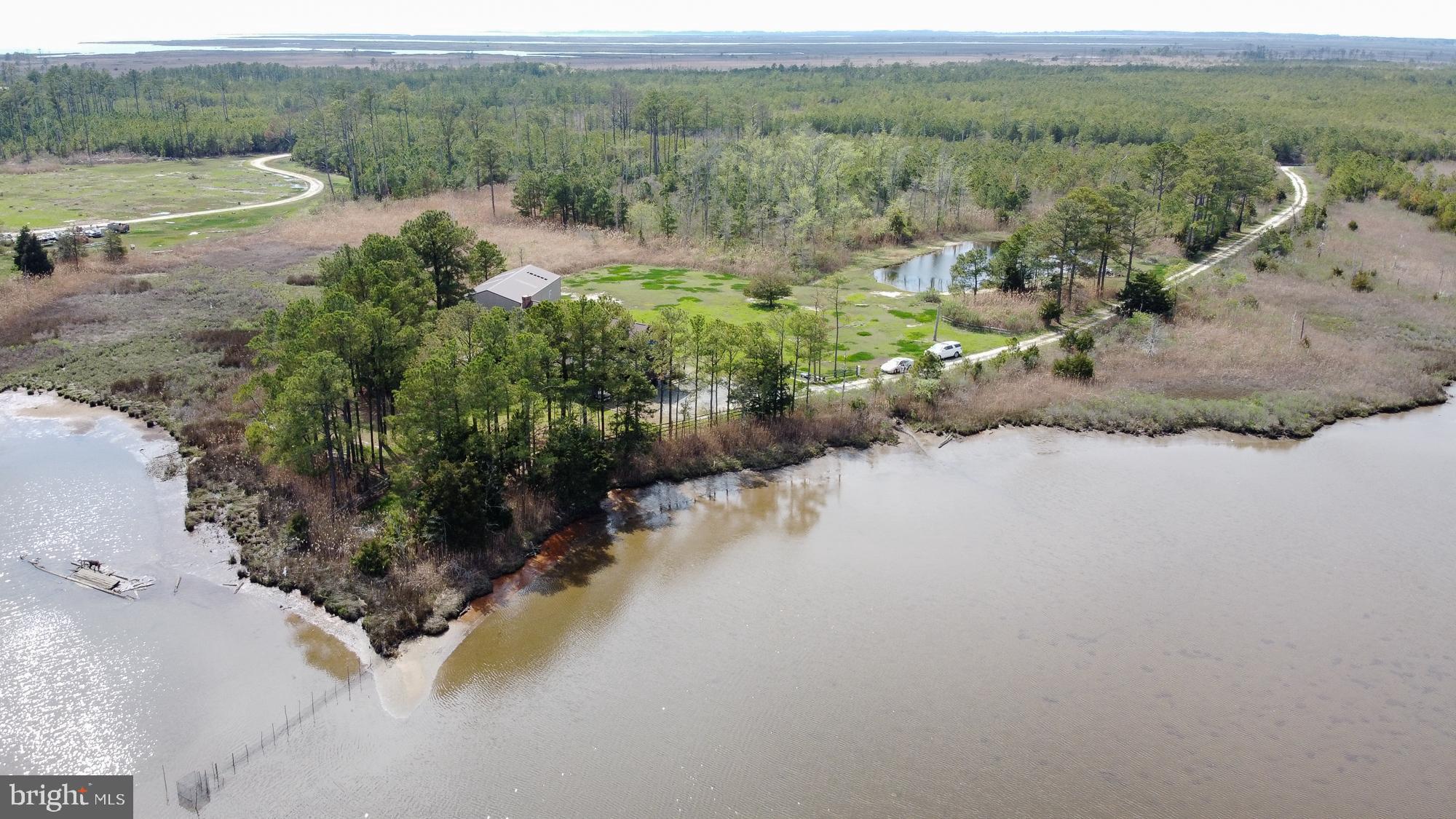 10191 Crab Island Road Princess Anne, MD 21853 - Photo 8 of 30 Situated on St Peters Creek-
