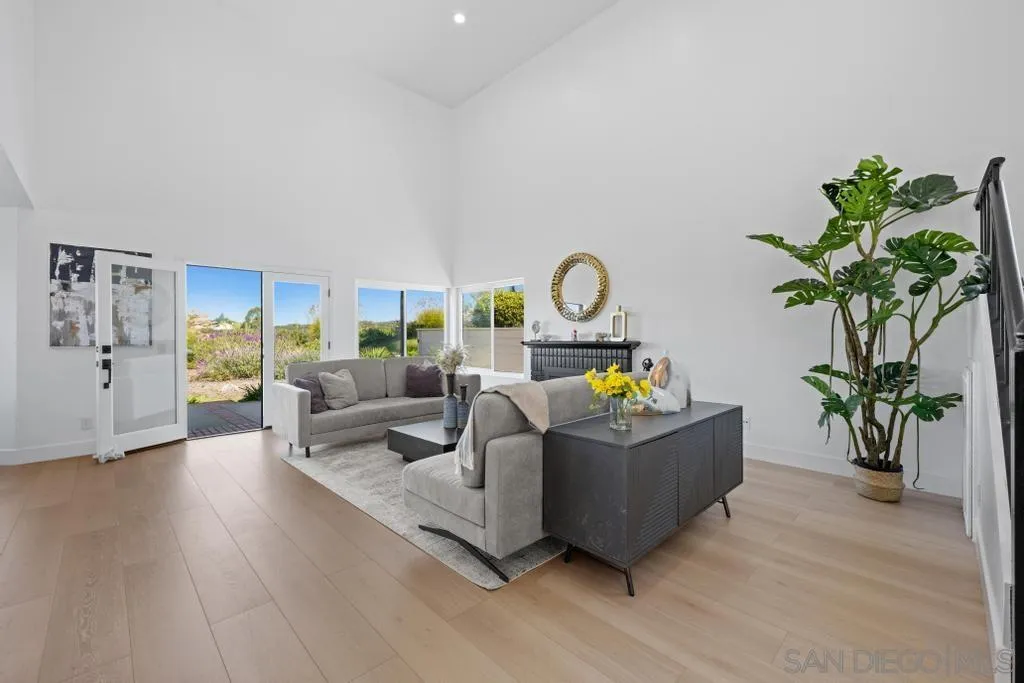 3638 Lorimer Lane Encinitas, CA 92024 - Photo 11 of 72 a living room with furniture and a potted plant