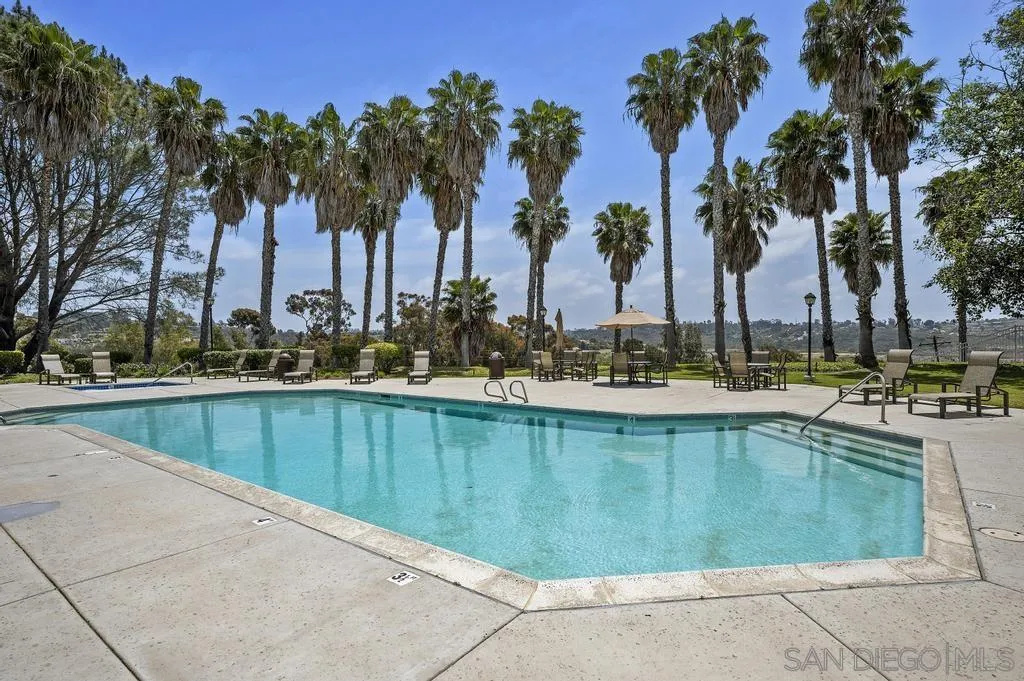 3638 Lorimer Lane Encinitas, CA 92024 - Photo 67 of 72 a view of swimming pool with outdoor seating and palm trees