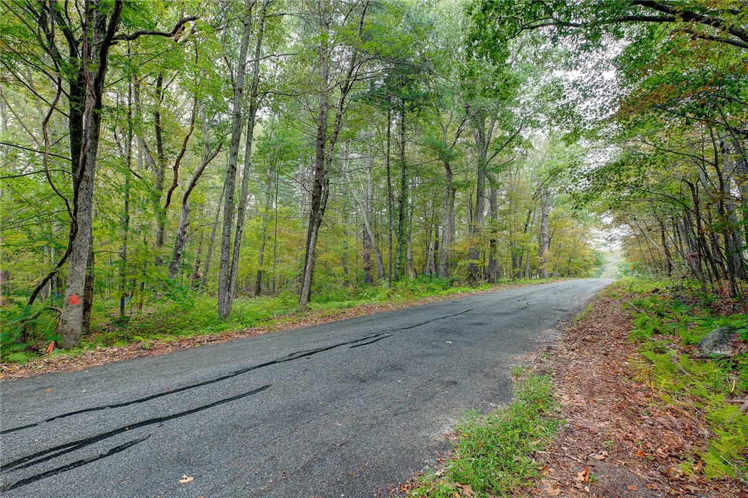 0 Dexter Saunders Road Glocester, RI 02857 - Photo 4 of 15 6 acres waiting for its new owner, orange marking begins the property.