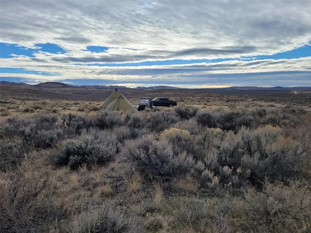 a view of a dry yard with wooden fence
