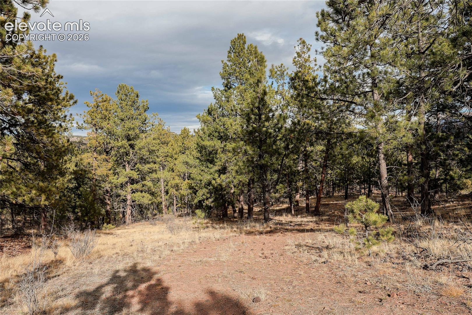 0 Twinkle Road Guffey, CO 80820 - Photo 13 of 20 Gallery Image 13