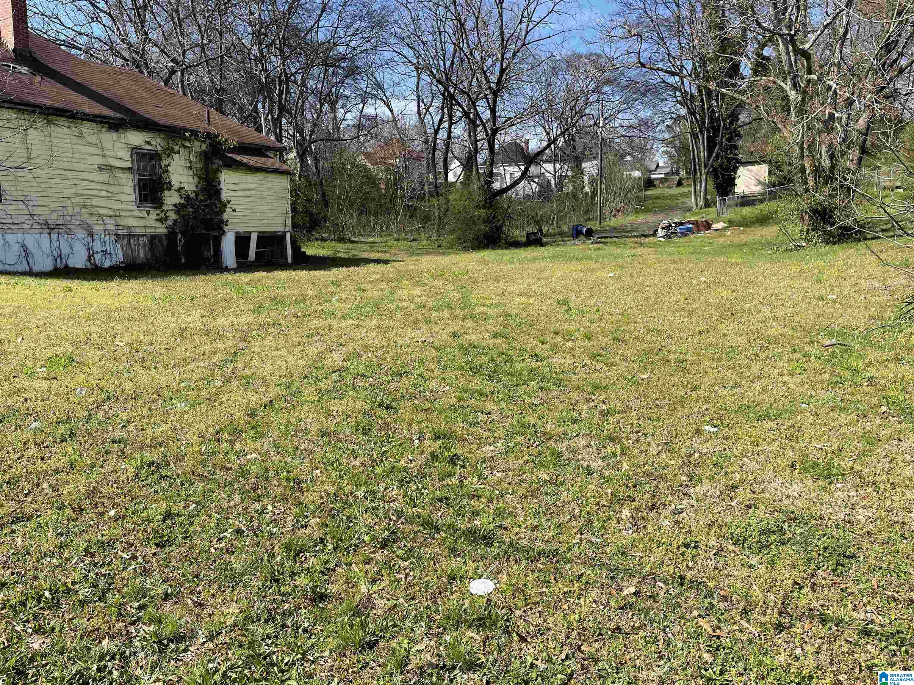 613 West 13th Street Anniston, AL 36201 - Photo 3 of 4
