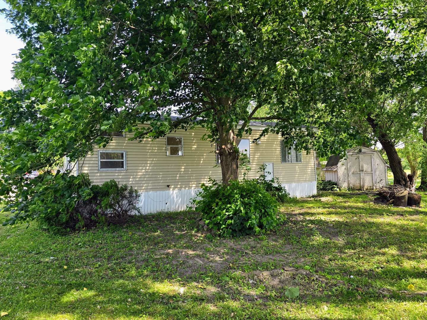 182 Windward Road Lakemoor, IL 60051 - Photo 13 of 22 a view of a backyard with plants and large trees