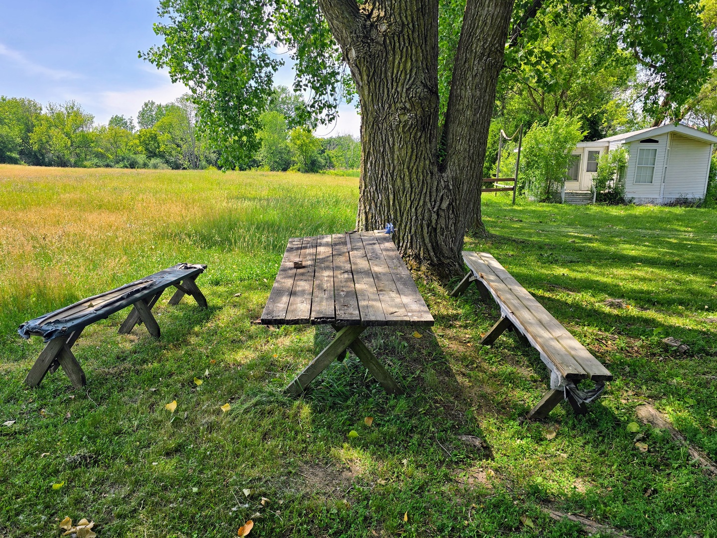 182 Windward Road Lakemoor, IL 60051 - Photo 20 of 22 a backyard of a house with lots of green space