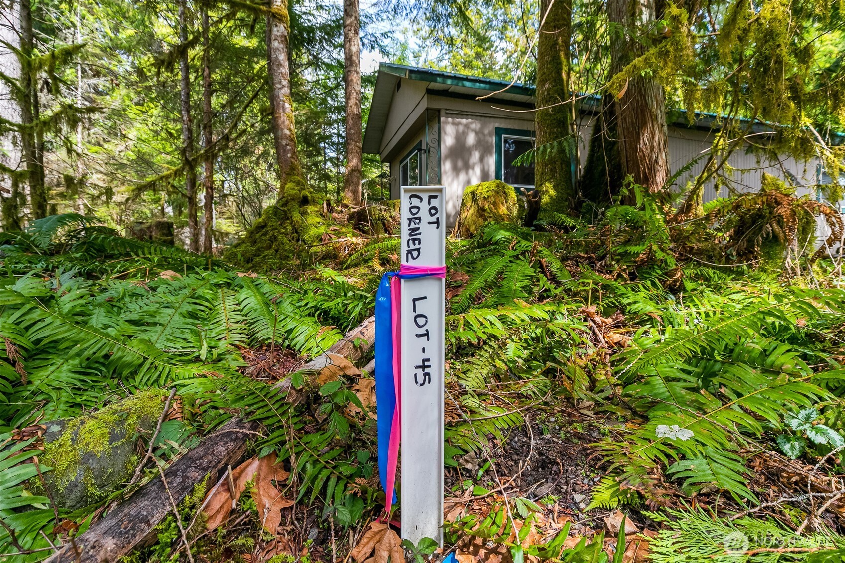 17045 Iceberg Road Glacier, WA 98244 - Photo 6 of 20