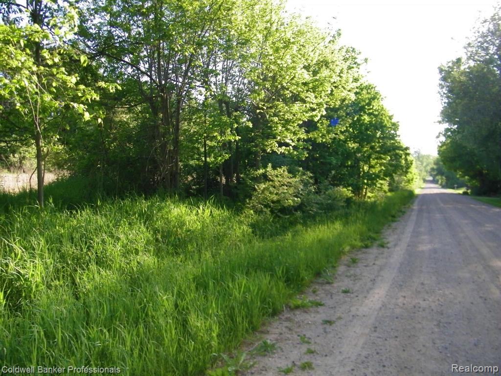 Parcel A Martus Road North Branch, MI 48461 - Photo 7 of 7