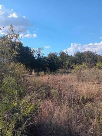 a view of a lake in middle of forest