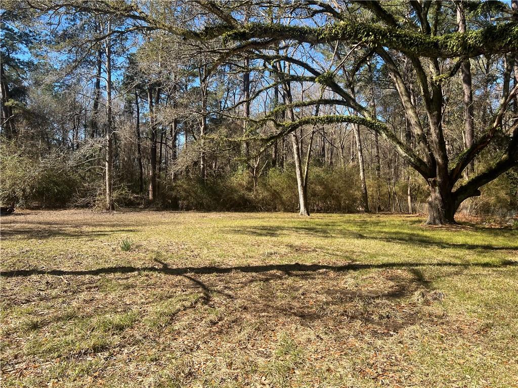 6111 Ball Loop Ball, LA 71405 - Photo 3 of 31 Gallery Image 3