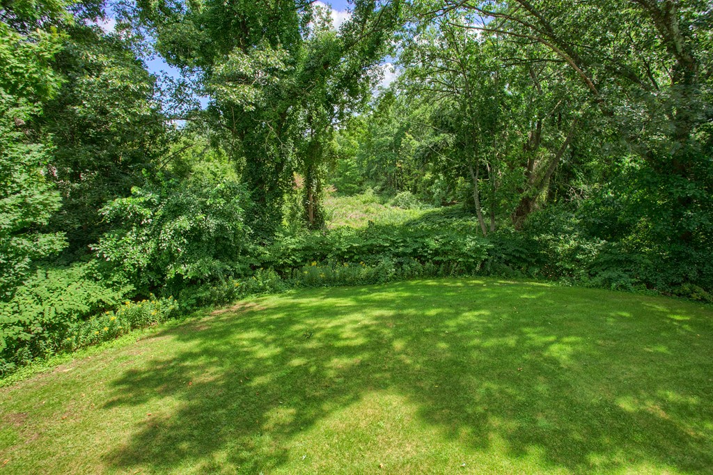 109 North Road Chelmsford, MA 01824 - Photo 25 of 30 a view of a lush green space