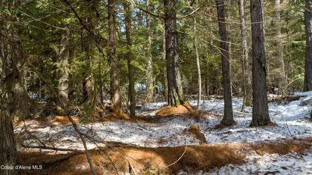 $98,000 | 57 Highway 57, Priest Lake, ID 83856