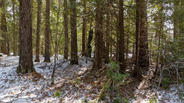 $98,000 | 57 Highway 57, Priest Lake, ID 83856