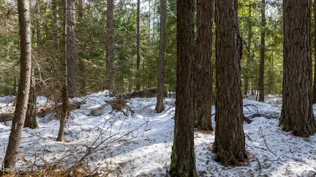 $98,000 | 57 Highway 57, Priest Lake, ID 83856