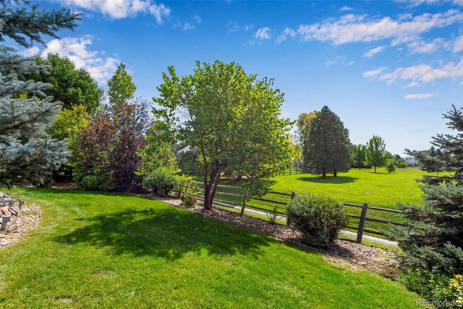 2692 Pearl Howlett Road Longmont, CO 80504 - Photo 6 of 25 Gallery Image 6