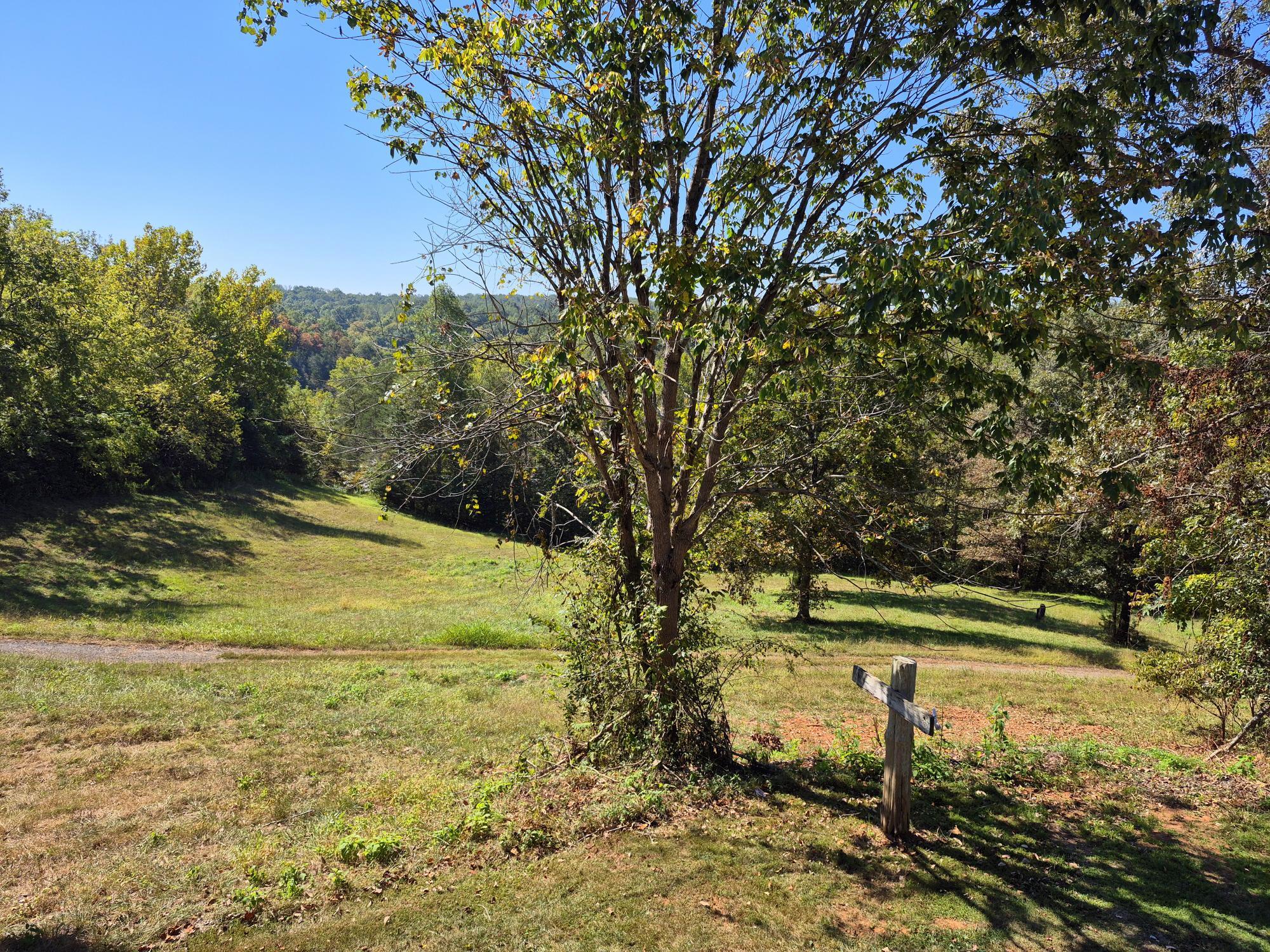 10048 Moneta Road Bedford, VA 24523 - Photo 38 of 51 a view of a yard with large trees