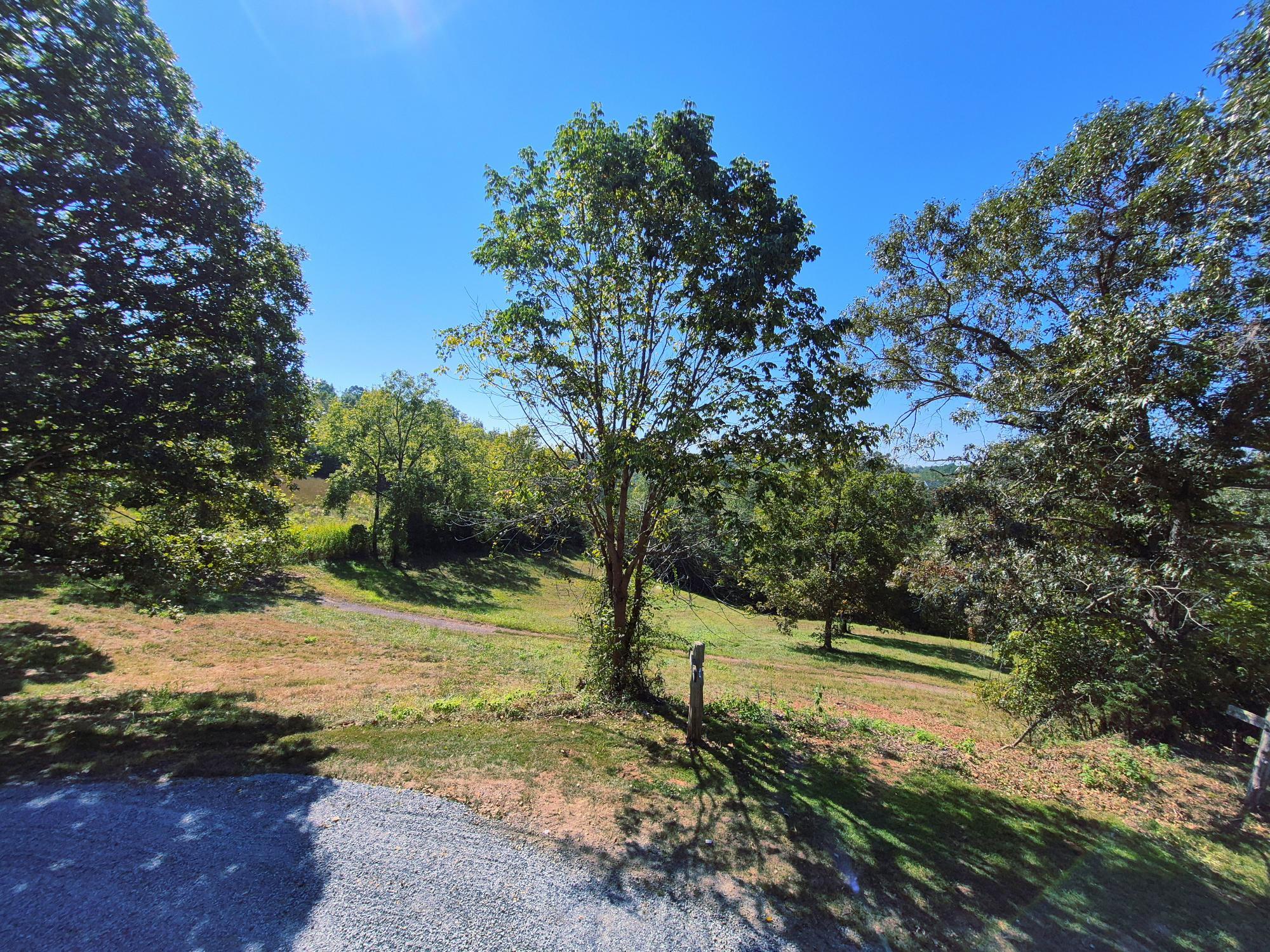 10048 Moneta Road Bedford, VA 24523 - Photo 44 of 51 a view of a yard with wooden fence