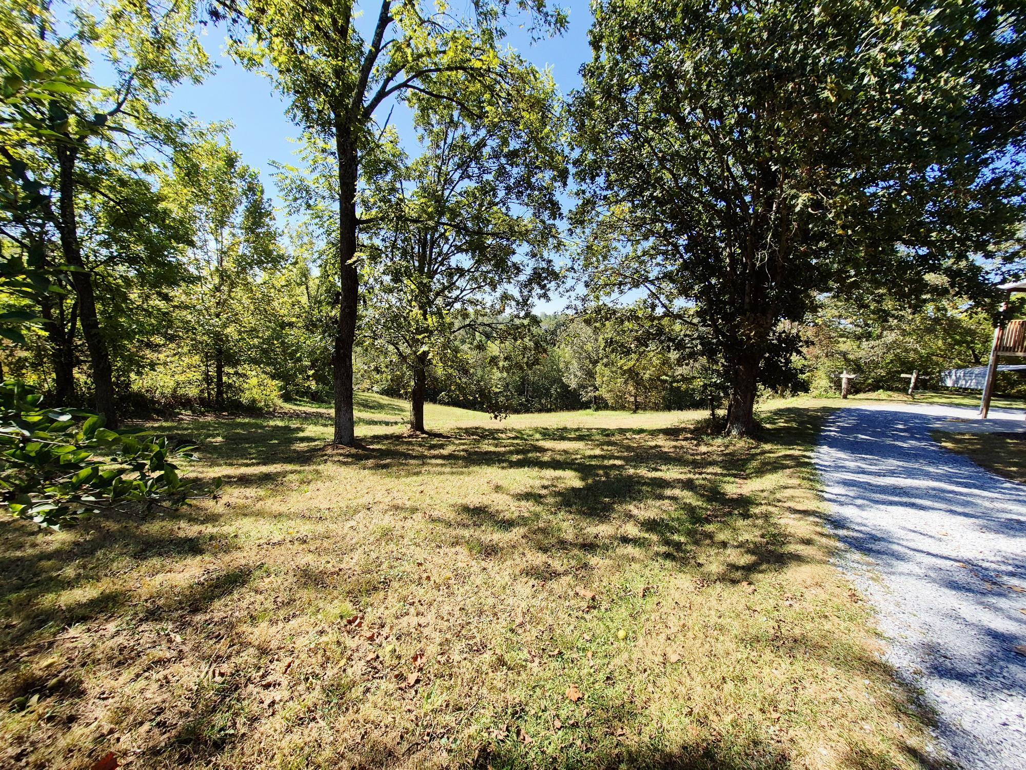 10048 Moneta Road Bedford, VA 24523 - Photo 50 of 51 a view of yard with trees