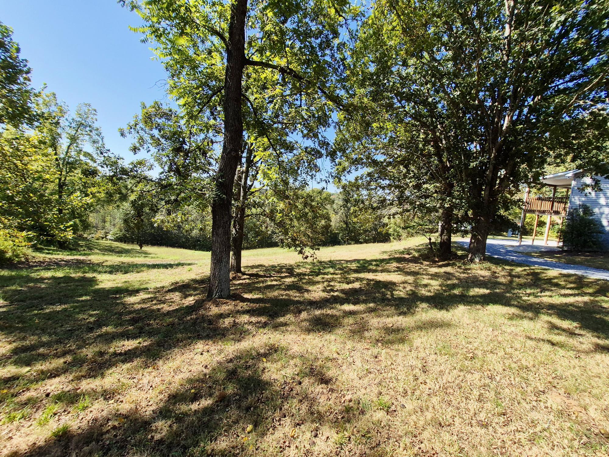10048 Moneta Road Bedford, VA 24523 - Photo 51 of 51 a view of yard with trees